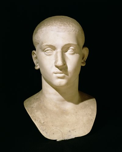 Portrait Bust of Emperor Severus Alexander by Roman